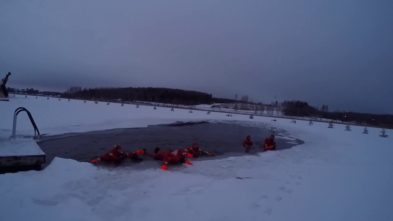 Arctic swimming 