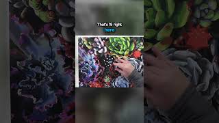 The Shocking Truth about Cheap Paint by Numbers Kits Revealed #paintbynumber #paintbynumbers  #art