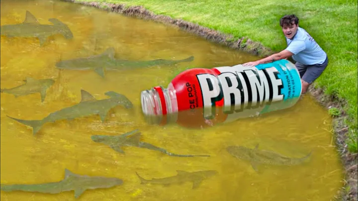 PRIME Bottle Catches POND Monsters!