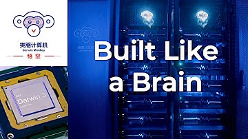 Darwin Monkey “悟空” (Wukong) - A Breakthrough Brain-Inspired Neuromorphic Computer