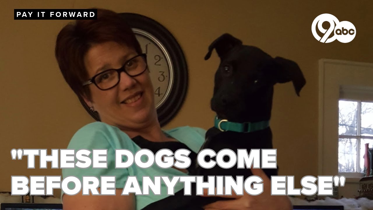 Fraternity of the 4 Paws: Georgia woman dedicates life to rescuing and rehoming dogs