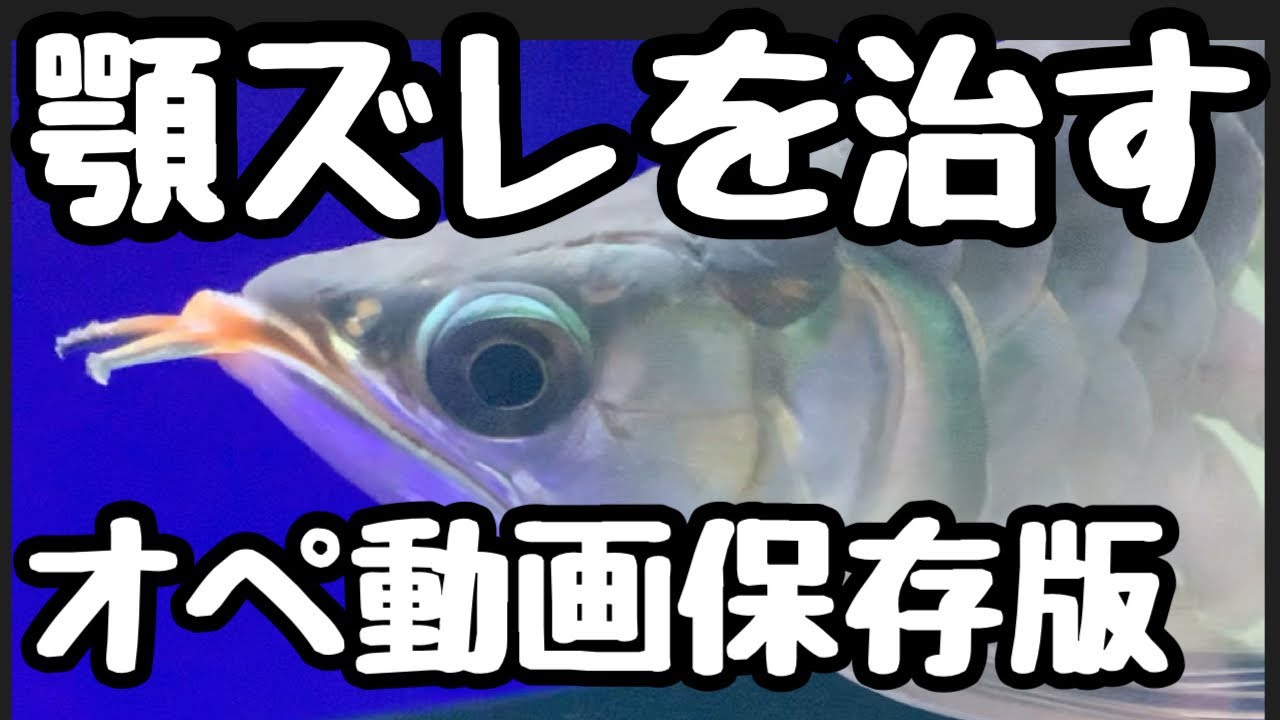 Комбинация с леопардовым принтом