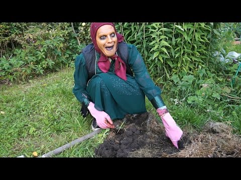 Старуха Изергиль в выпуске "Наш сАд" - За Лупой (6)