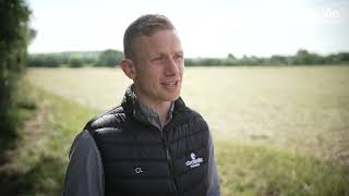 Doramax - The Worms Affecting Cattle