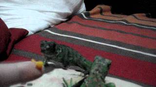 Feeding My Little Iguana Reptar