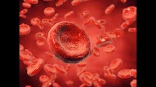 Capsule (2) warfarin
