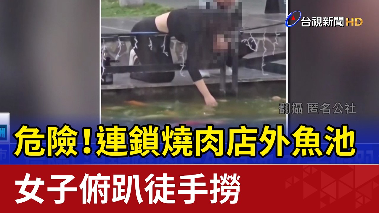 危險！ 連鎖燒肉店外魚池 女子俯趴徒手撈