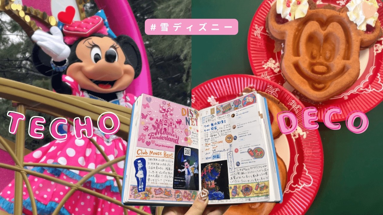 【手帳デコ】”雪のディズニーランド”での1日/ほぼ日HONに記録🐭❄️