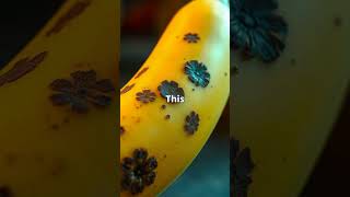 📌 The Shocking Truth About Glowing Bananas!