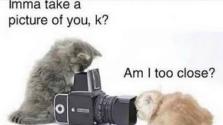 Imma take a picture of you, k? screenshot 4