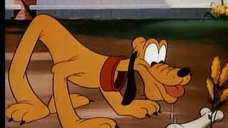 Pluto 1948 Bone Bandit