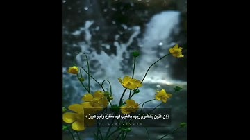 القارئ محمد هشام..ايات قصيرة..حالات واتس..انستا..قران..مقاطع دينية..