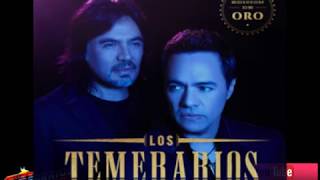 FALTAS TU(LOS TEMERARIOS) letra