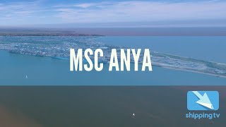 MSC ANYA swings into the Port of Felixstowe + A BONUS clip by Shipping TV 599 views 3 years ago 1 minute, 56 seconds