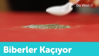 İlginç Biber Deneyi Pratik Bilim Da Vinci Tv Türkiye