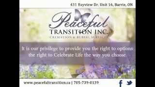 Peaceful Transition Inc.