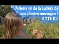 Juliette vit de la culture de ses plantes sauvages, ACTE 2