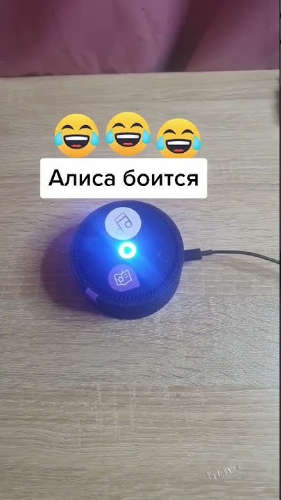 Алиса просит помощи 😱 лучшие приколы 2021 / яндекс Алиса жгёт - YouTube