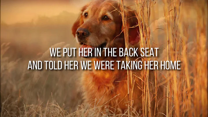 Chris Stapleton Maggie's Song Lyrics (New Album)