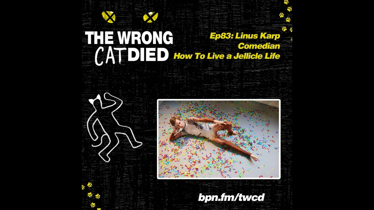 Ep83 - Linus Karp, Comedian, How To Live A Jellicle Life, Life Lessons From the 2019 Hit Movie CATS