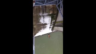 Cat rescued after sliding down dam's spillway