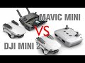 БОЛЬШОЙ обзор DJI MAVIC MINI vs DJI MINI 2 | стоит ли покупать???