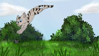 Warrior Cats Practice Animation