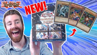 INSANE VALUE Magnificent Mavens Yugioh Pharaohs Rare Pull!
