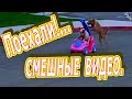 смешные видео - собаки, кошки, дети...