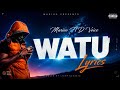 Marioo Ft D Voice WATU Official Video Music Type Singeli 