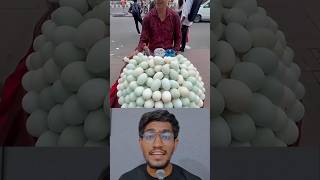 EGG Shells Organic Calcium Fertilizer