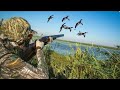 Best of duck hunting