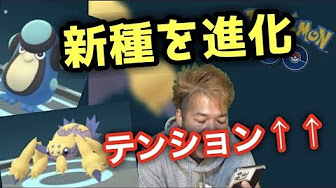 進化集 強化集 ポケモンgo Youtube