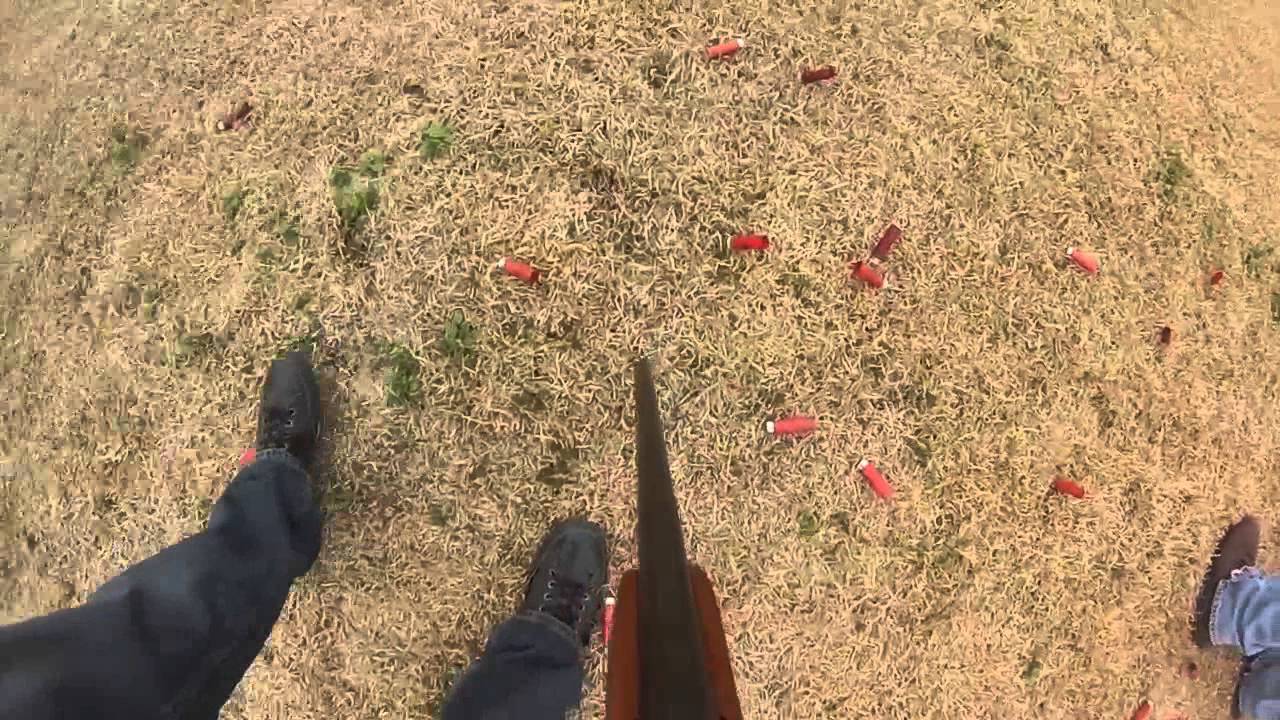 Shooting in Summerdale, Al YouTube