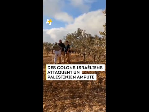 الغرب المحتل: مستوطنون إسرائيليون يهاجمون فلسطينيًا مقعد