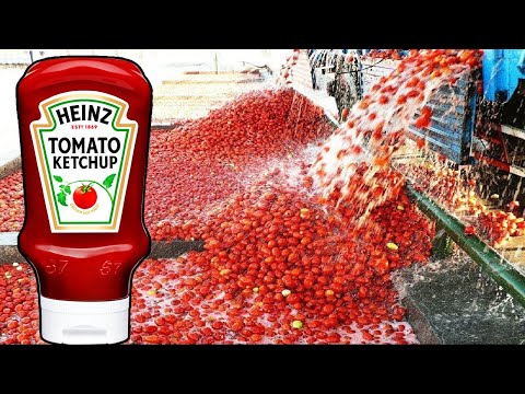 Vídeo: Com aconseguir una foto de ketchup?