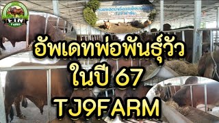 อัพเดทวัวพ่อพันวัวดังของไทยธุ์ในปี 67 จะมีตัวไหนบ้างมาชมพร้อมกันได้เลย!!!