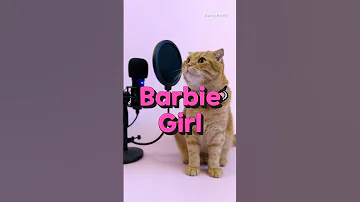 베니의 ‘Barbie Girl(바비걸)’ - Aqua(아쿠아) cover by Benny the Cat #shorts