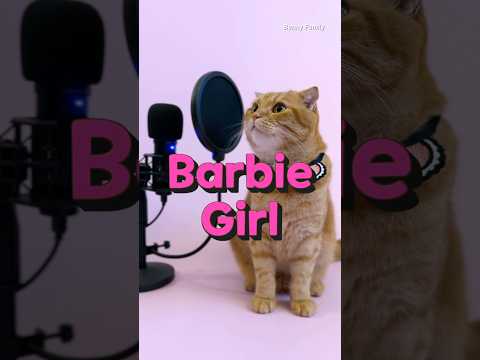 Barbie Girl Cover By Benny The Cat Shorts