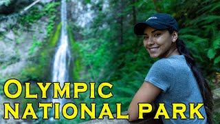 Olympic National Park Hurricane Ridge & Marymere Falls