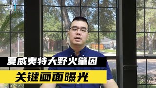 夏威夷特大野火肇因关键画面曝光；男子耍浪漫“买机票不登机”当场被捕；女子遭前男友公开亲密照获判赔$12亿美元；热带风暴将再袭美国西南部下周或遇强降雨；20230817