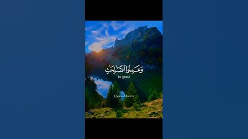 ماهر المعيقلي 🌾سورة العصر 🌾تلاوة خاشعة حالات واتس اب قرآن كريم
