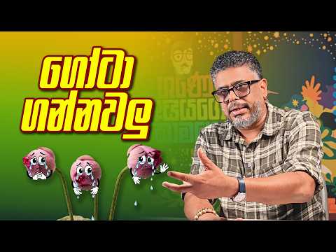 ගෝටා ගන්නවලු - Vlog Ep 566 - Gune Aiyage Kamare