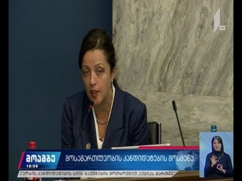იურიდიულ საკითხთა კომიტეტი თამარ ალანიას უსმენს