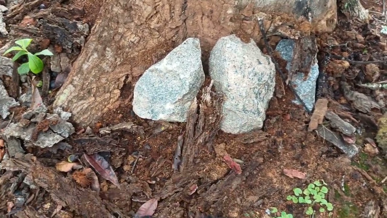 Natureza abençoada- Parte 2