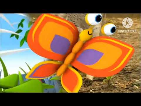 فاصل براعم الكنغر 2012 2015 