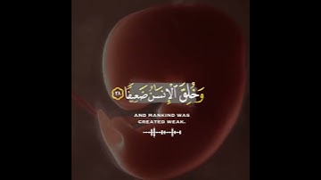 قرآن كريم بصوت القارئ ناصر القطامي تلاوة مؤثر ارح قلبك 💚🌿حالة واتس إسلامية /استوري انستغرام