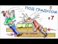 Под градусом.  Прикольные анекдоты про пьяниц  #7