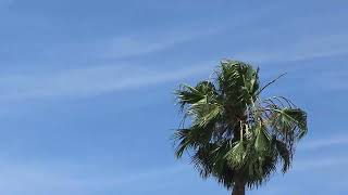 2:07pm May 24, 2026 - Sunny With High Clouds & SSE to South Winds, SSW Occasionally 