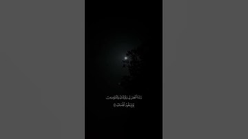 رَبَّنَا اغْفِرْ لِي وَلِوَالِدَيَّ وَلِلْمُؤْمِنِينَ يَوْمَ يَقُومُ الْحِسَابُ (41) | #قران #تلاوة